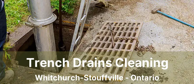  Trench Drains Cleaning Whitchurch-Stouffville - Ontario